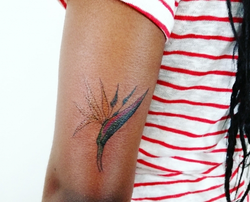Custom bird of Paradise fine line dotwork tattoo by artist Cesarina Gretha (Sanne Bosscher)