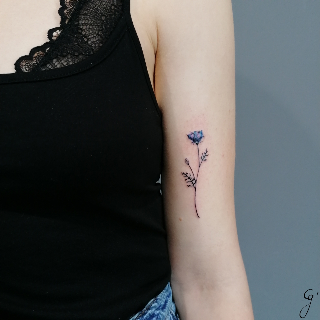 Custom Cornflower fine line dotwork tattoo by artist Cesarina Gretha (Sanne Bosscher)