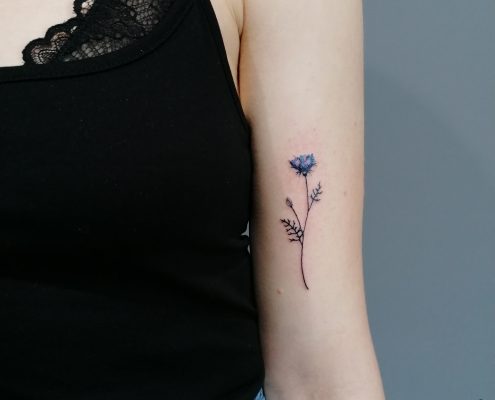 Custom Cornflower fine line dotwork tattoo by artist Cesarina Gretha (Sanne Bosscher)