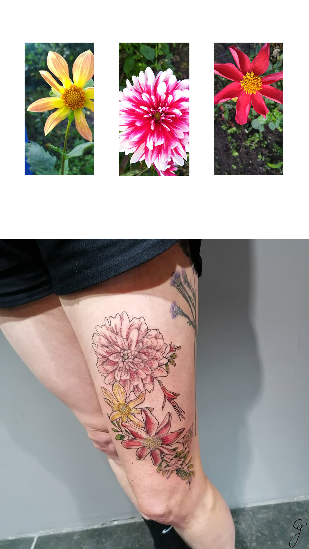 dalhiabloemsssssgerda