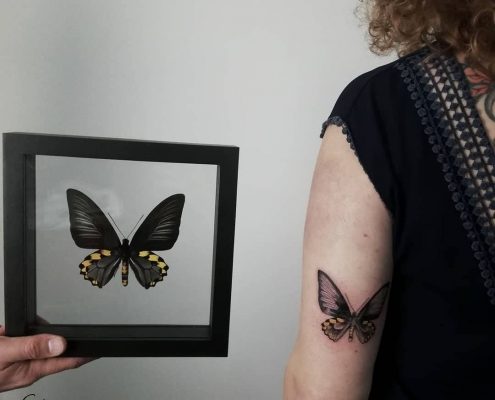 Butterfly fine line dotwork tattoo by artist Cesarina Gretha (Sanne Bosscher) collab Museumwinkel