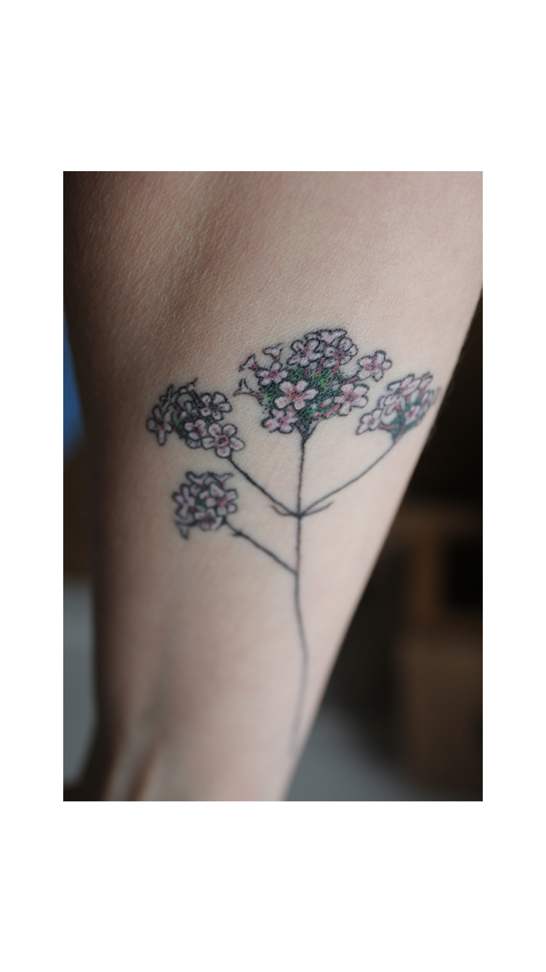 Dried flowers Fine Line Dotwork Tattoo